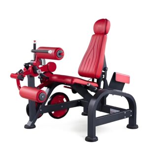Seated Leg Curling